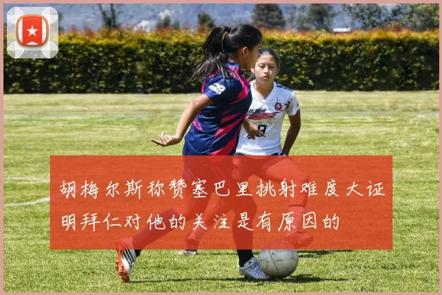 胡梅尔斯称赞塞巴里挑射难度大证明拜仁对他的关注是有原因的